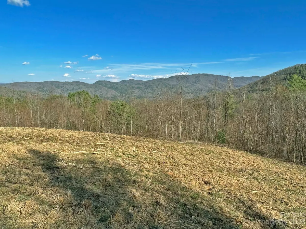 Hot Springs, NC 28743,1126 Bluff Mountain RD