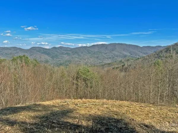 Hot Springs, NC 28743,1126 Bluff Mountain RD