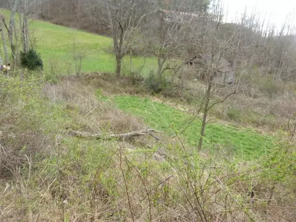 Marshall, NC 28753,tbd Tilson BR