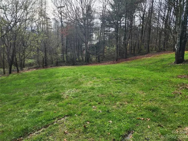 Weaverville, NC 28787,1190 Jupiter RD