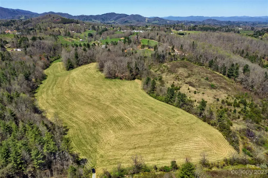 TBD Turkey Creek RD, Leicester, NC 28748