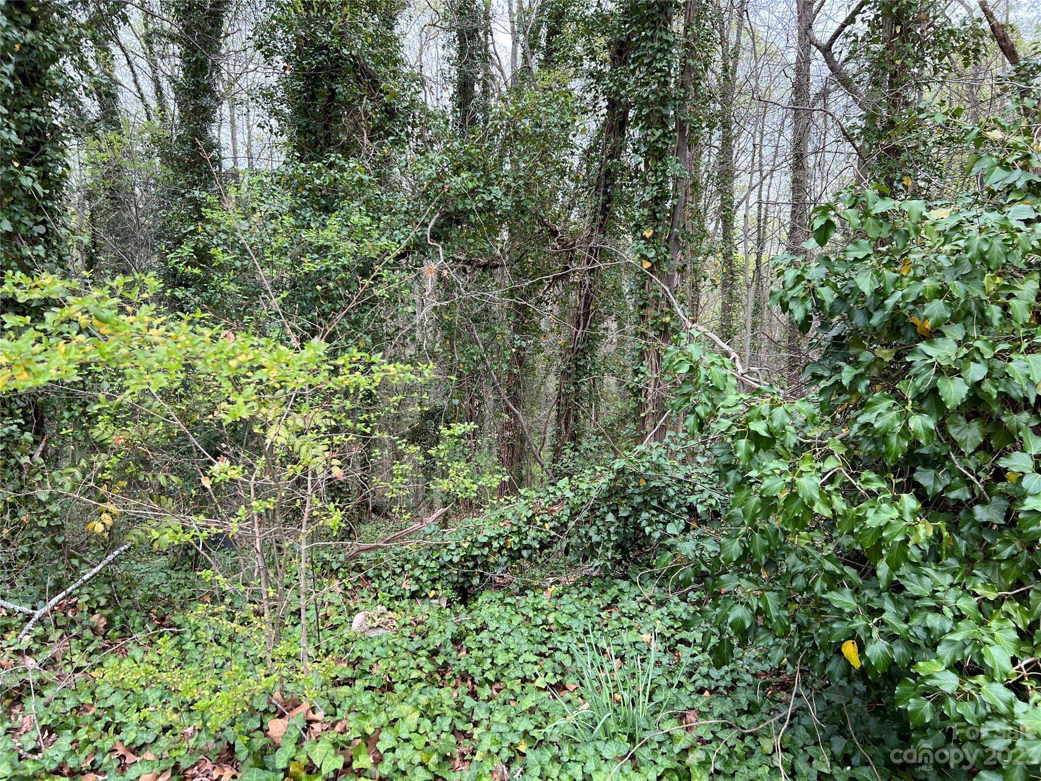 0 Bouchelle ST, Morganton, NC 28655