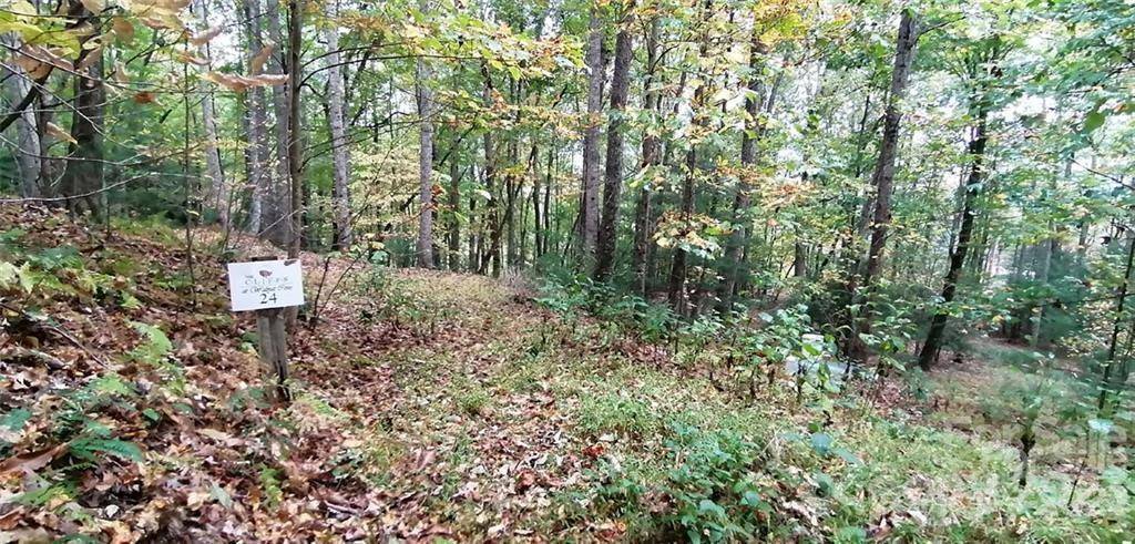 Arden, NC 28704,391 Stoneledge TRL #24