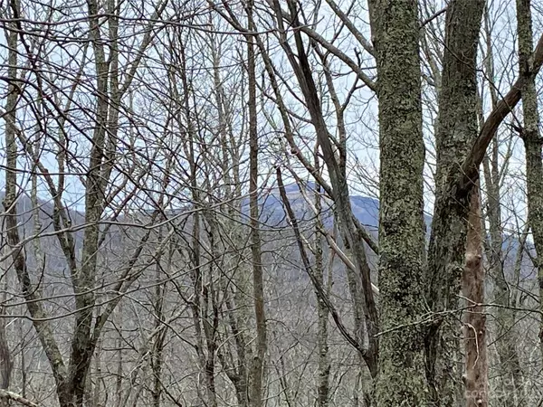 TBD Farview LN #26, 27, Newland, NC 28657