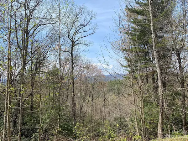 Rosman, NC 28772,Lot 69 Peppervine CIR