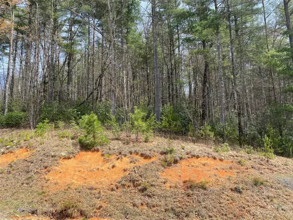 Rosman, NC 28772,Lot 68 Peppervine CIR
