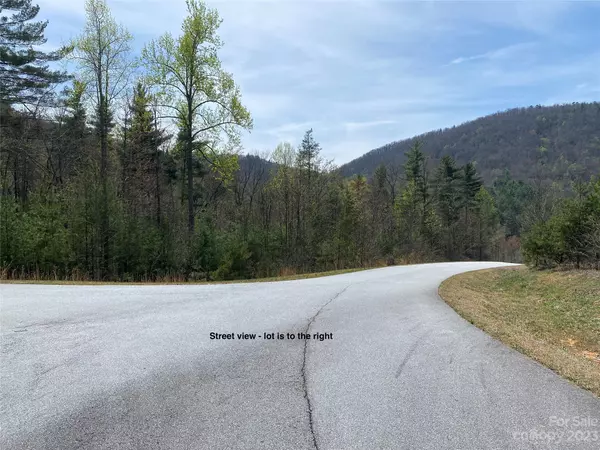 Rosman, NC 28772,Lot 68 Peppervine CIR