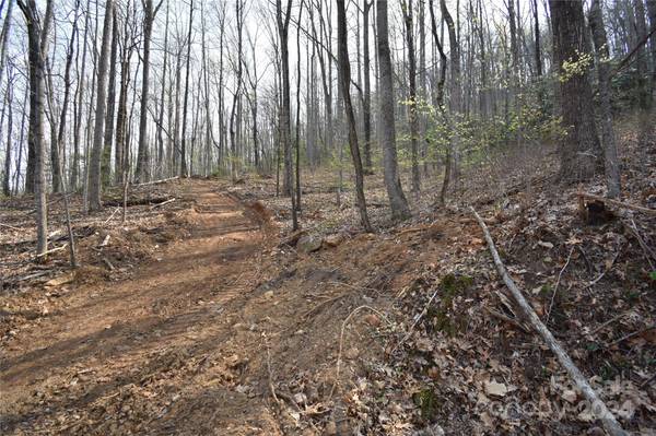 Hendersonville, NC 28792,Lot 9 Bradley Mountain LN #Lot 9