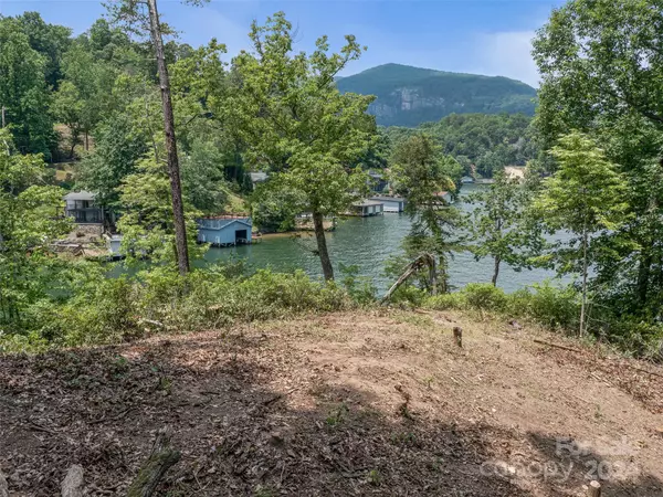 Lake Lure, NC 28746,999 Hawthorne DR