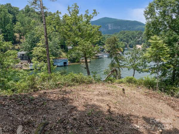 Lake Lure, NC 28746,999 Hawthorne DR