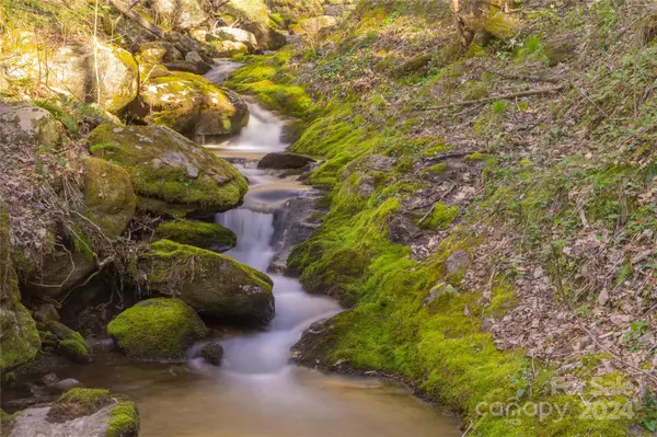 Sylva, NC 28779,00 Buff Creek RD