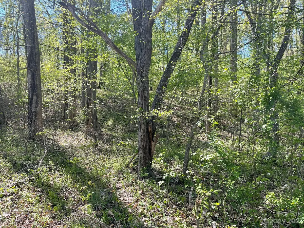 Bostic, NC 28018,0 BRICK RD