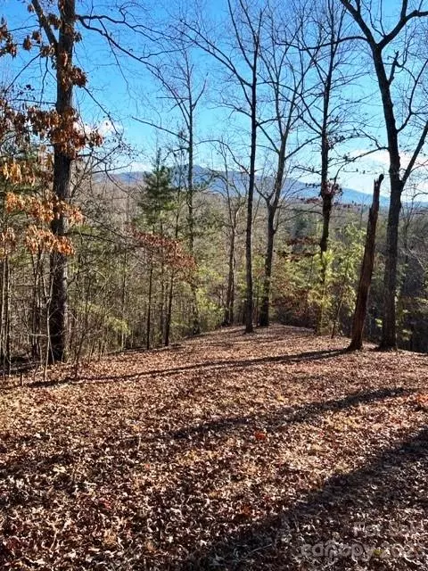 Mill Spring, NC 28756,Lot 17-4 N Coast DR
