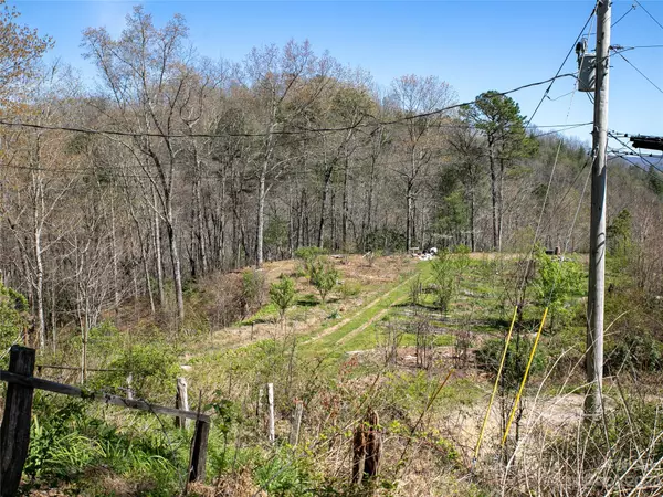 Rosman, NC 28772,384 Pheasant Gap RD