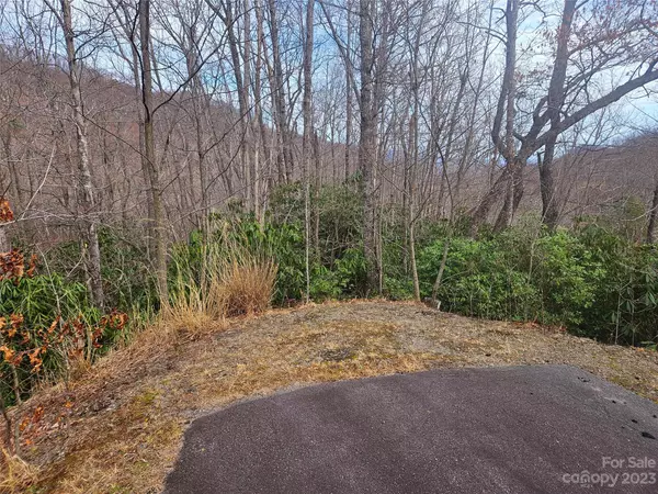 Old Fort, NC 28762,TBD Sydney Falls TRL #172