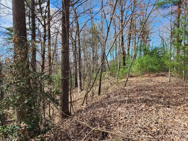 Purlear, NC 28665,TBD Deer RUN