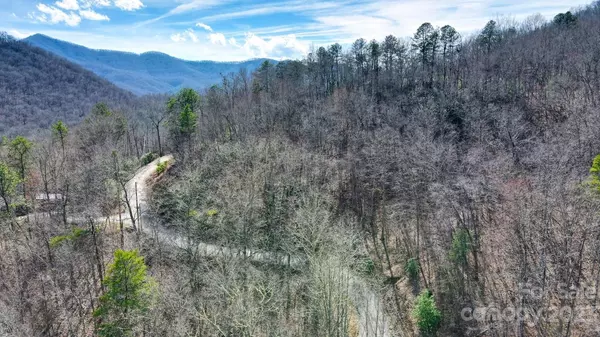 Tuckasegee, NC 28783,0 Platinum RD