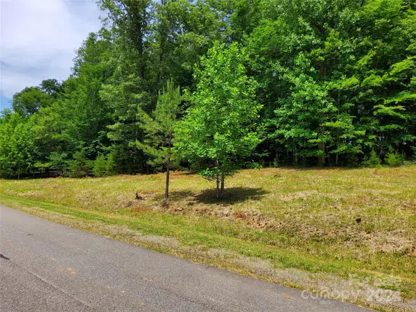 Rutherfordton, NC 28139,0 Cinnamon RDG #398