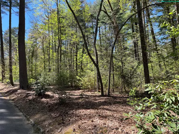 LOT 1 Sherwood DR S, Flat Rock, NC 28731