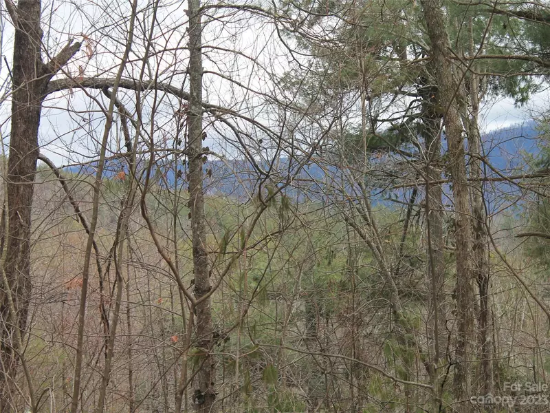 0000 Wildlife TRL #.84 ACRES, Hendersonville, NC 28739
