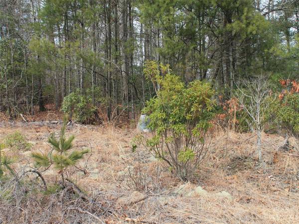 Hendersonville, NC 28739,000 Wildlife TRL #2 ACRES