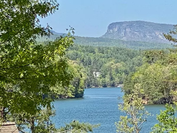 903 Harborside DR #205, Nebo, NC 28761