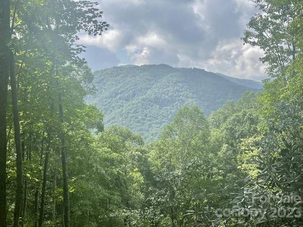 Lot 41 High Springs RD #41, Bryson City, NC 28713