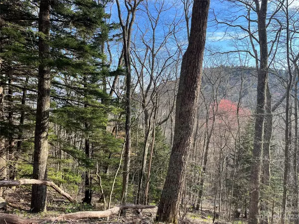 Sylva, NC 28779,99999 Greenspire DR