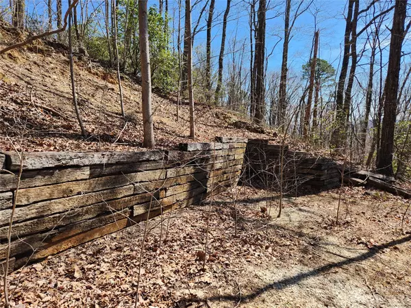 Marion, NC 28752,2917 Mountain Crest DR S #78