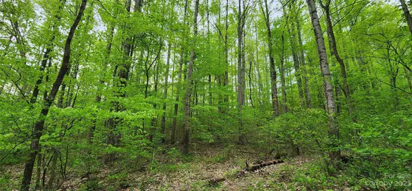 Candler, NC 28715,79 Apgar RD