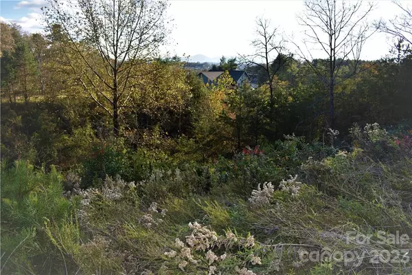 Weaverville, NC 28787,Lot 11 Big Rocky Top DR #11