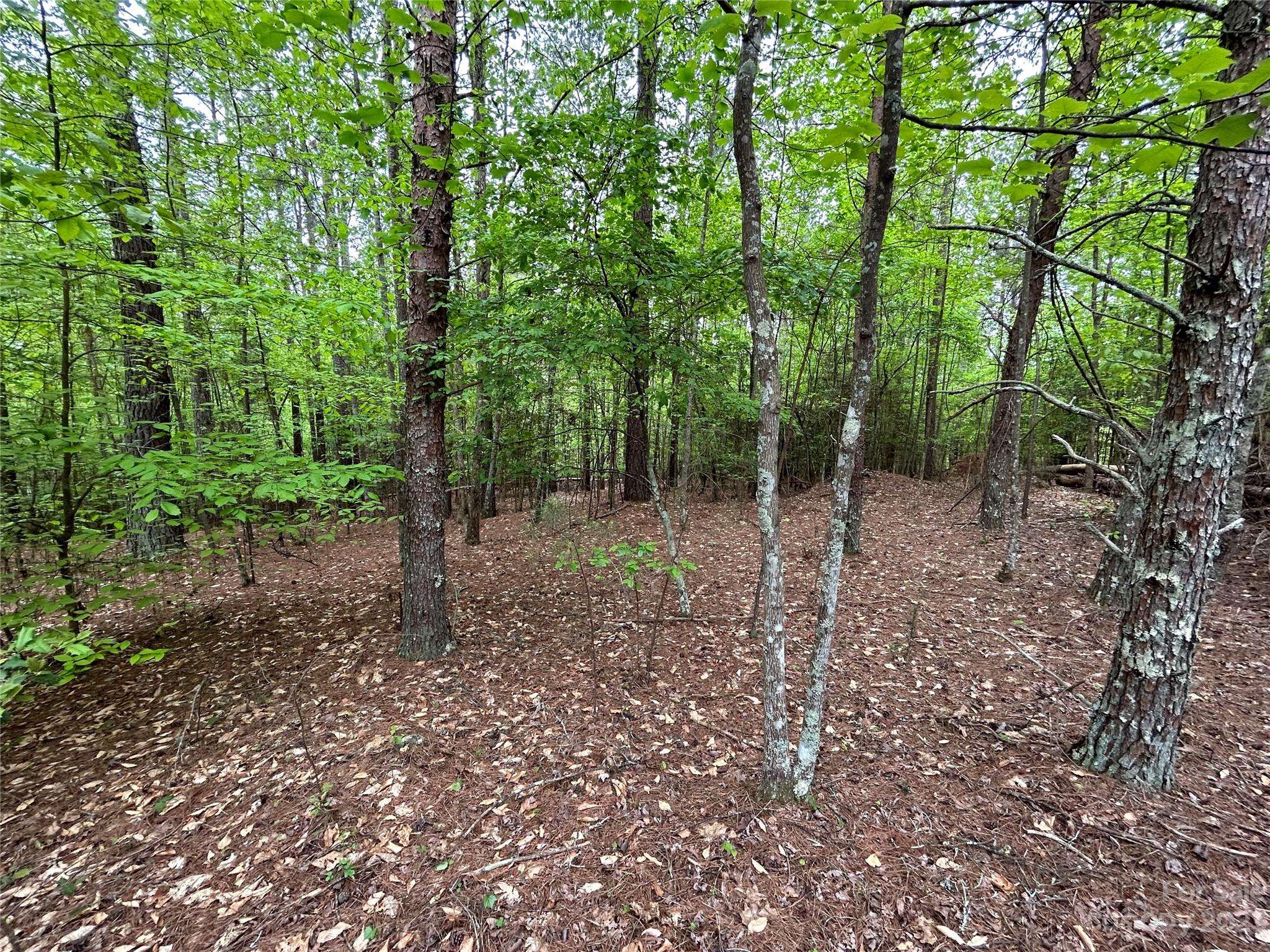 Connelly Springs, NC 28612,2388 Paradise Harbor DR W #11