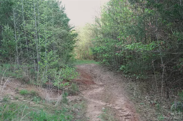 Rutherfordton, NC 28139,00 W V Thompson RD