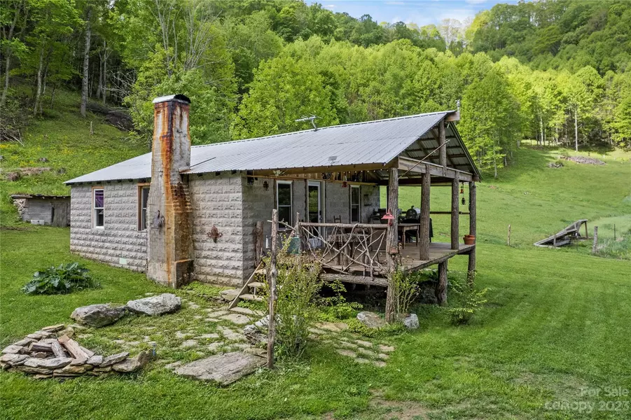 4302 Pigeon Roost RD, Green Mountain, NC 28740