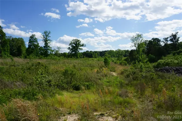 York, SC 29745,10 +/- Ac E Old Limestone RD