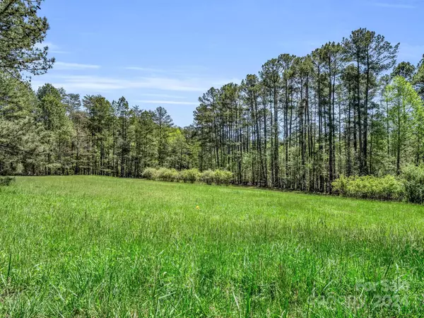 Tryon, NC 28782,241 Pine Field DR