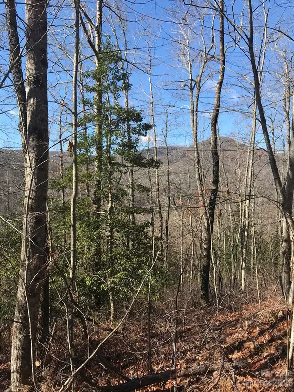 5 Honey Mountain RD,  Lake Toxaway,  NC 28747