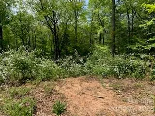 30 W Keesler ST, Black Mountain, NC 28711