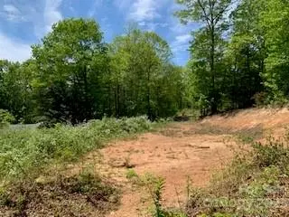 25 W Keesler ST, Black Mountain, NC 28711