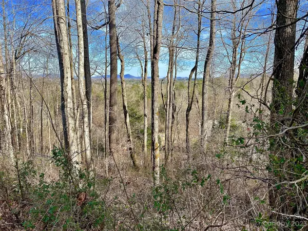 174 High Road Overlook, Hendersonville, NC 28739