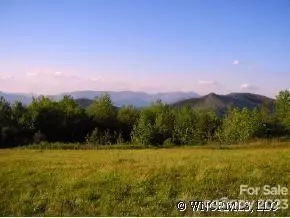 Fairview, NC 28730,9999 Ebby Ridge DR #336