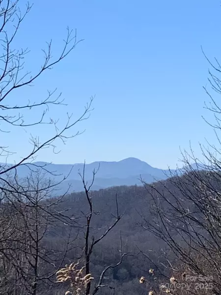 9999 Ebby Ridge DR #336, Fairview, NC 28730
