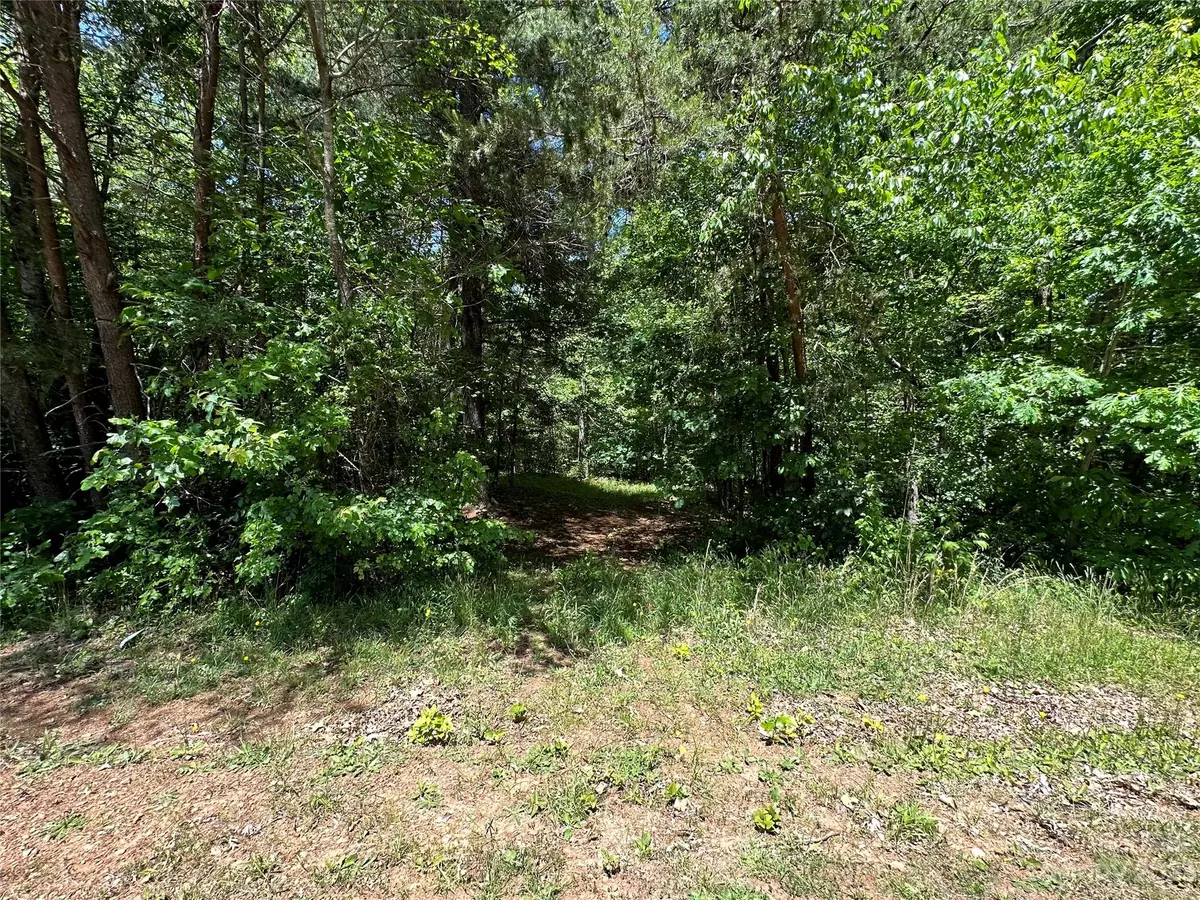 Vale, NC 28168,2601 & 2613 Lynn Mountain RD #14 & 15