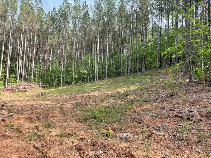 Lot 19 Sunset DR #19, Mill Spring, NC 28756