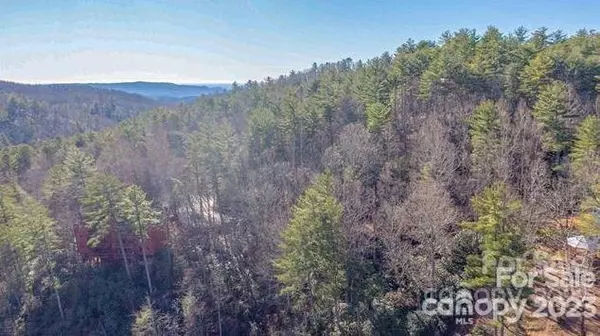 Lake Toxaway, NC 28747,TBD Toxaway Falls DR #12B