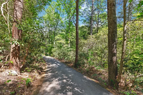 Swannanoa, NC 28778,1127 Bee Tree RD