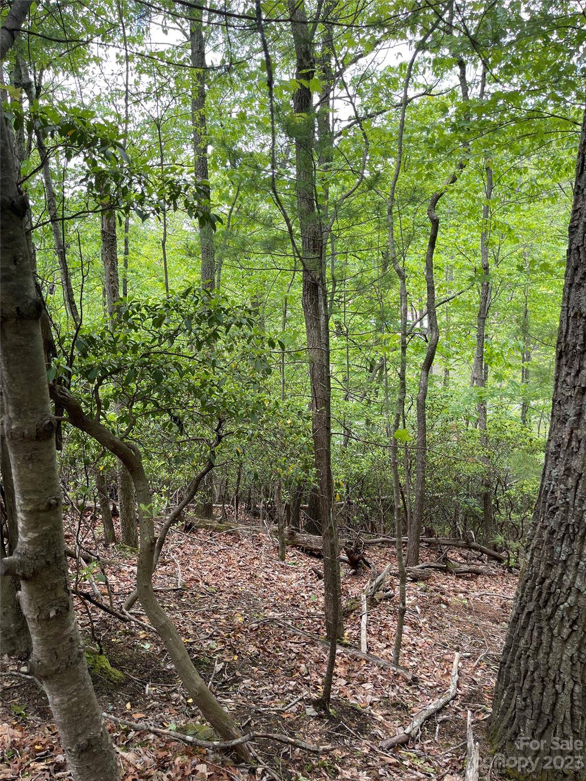 Deep Gap, NC 28618,Lot 65 Hawk Ridge RD #65
