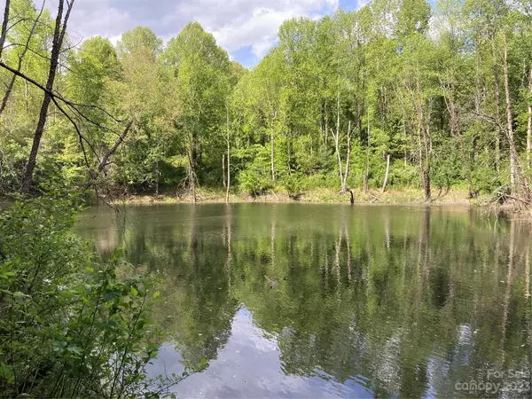 0 Summit Springs DR #4, Flat Rock, NC 28731