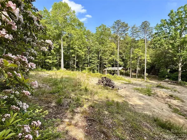 Cedar Mountain, NC 28718,862 Solomon Jones RD #Tract B