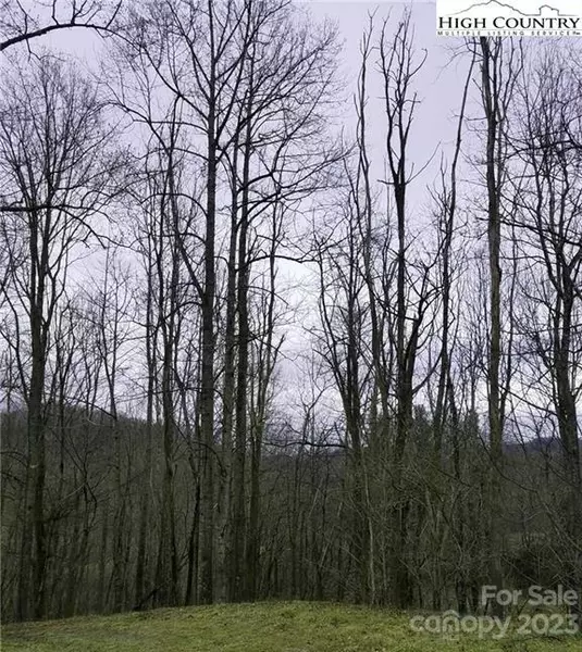 Lot 11 Yasmine LN #11, Valle Crucis, NC 28692